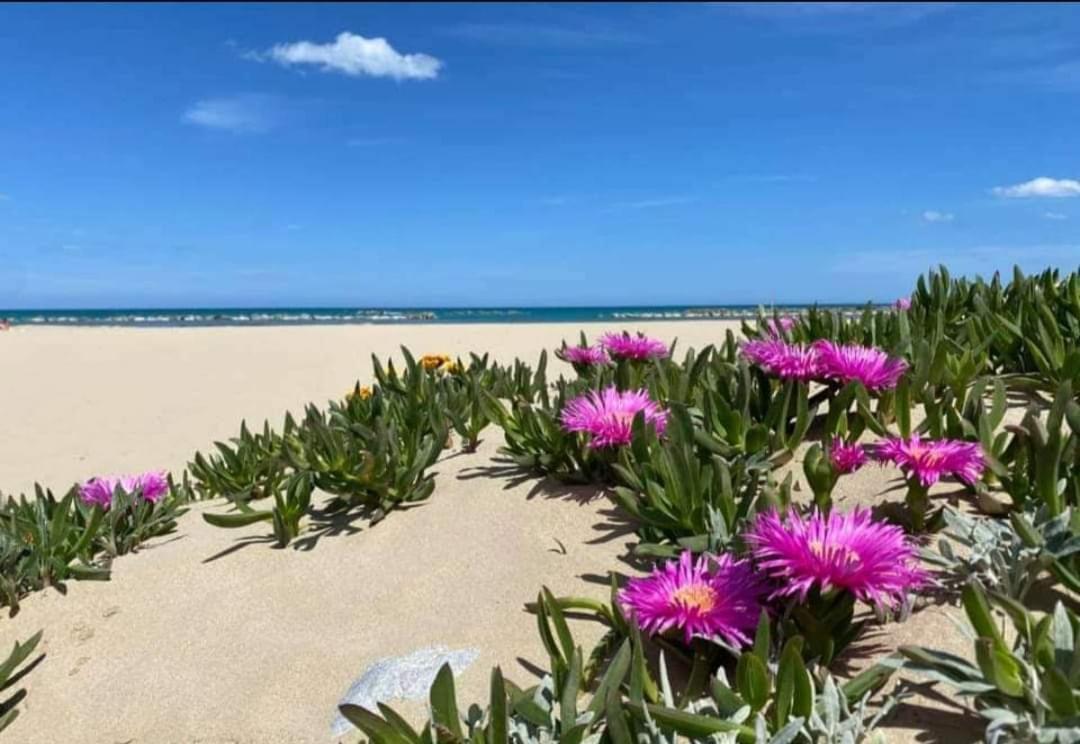 Marea Il Tuo Angolo Di Paradiso In Sicilia Ti Aspetta Prenota Ora E Vivi La Magia Del Mediterraneo Алкамо Марина Екстериор снимка